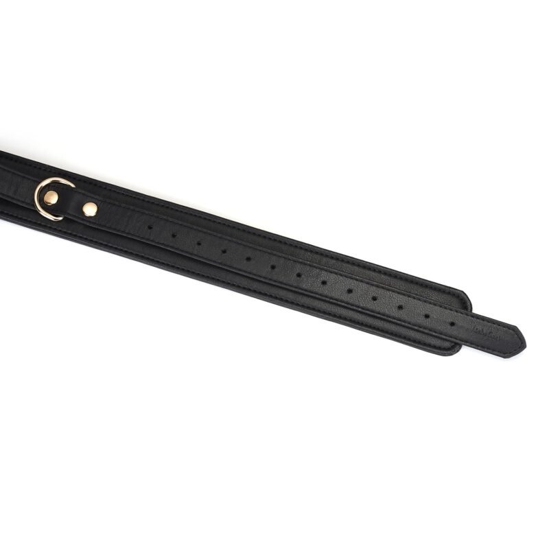 5e817a3cfaab972873a5a4cbacfbe4e1