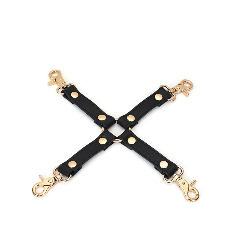 f51d472ee220fdd99ddf186dbabc2c8e