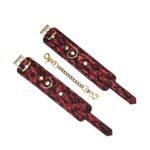 87ae778590984f1c0cf4285f24c7cccd