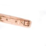 51258da24c46ce848cca62ce6ee46208