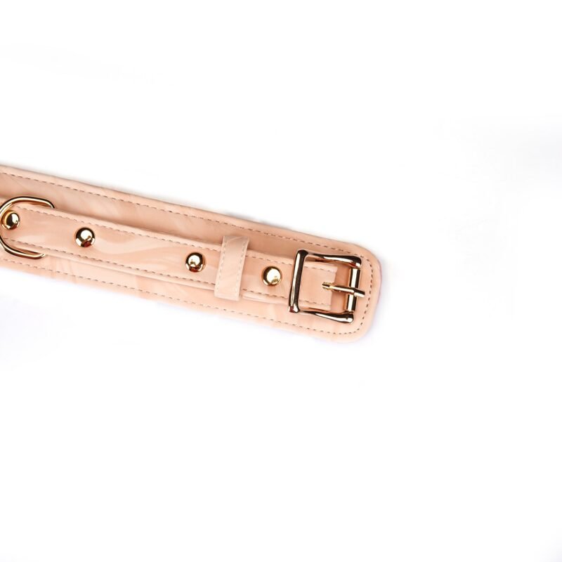 51258da24c46ce848cca62ce6ee46208