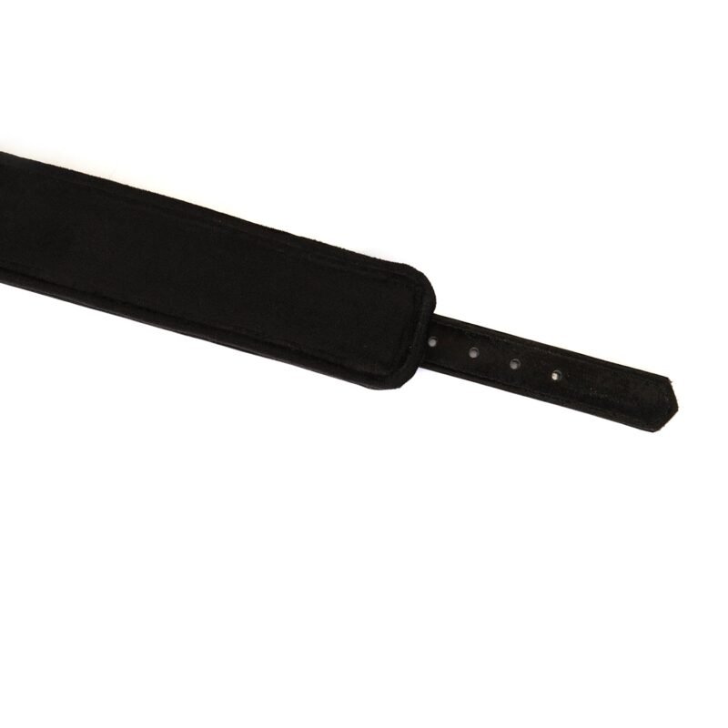 4e49e24023afeed1970330ee6a812841