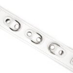 ff082f363d040fb2e4a401a2c53e5271