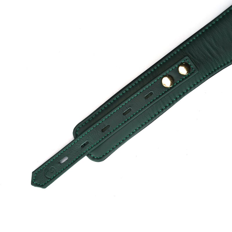 bbdd0ee8e4dfdba5381076126d2546e5