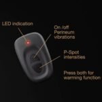 1cf82088a0aa646a7ee75ca321bcbb06