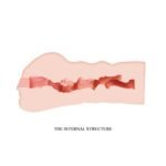 d69e86a8a6eb0e32fad44414924fc914