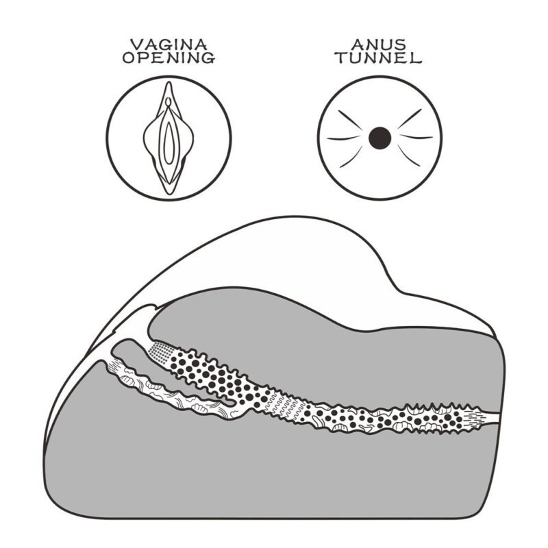 45bd1991016b14689c5888dbaa8f04c7