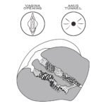 aae437b9652f89da743e0789813597a0