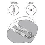 ae608734ff53f705defcdecde24ad6de