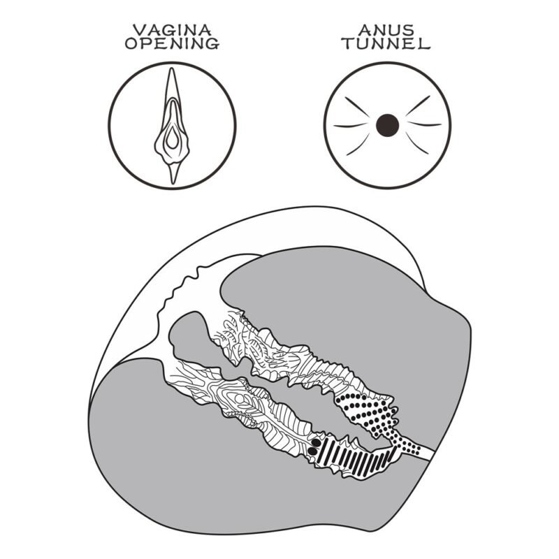 ae608734ff53f705defcdecde24ad6de