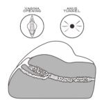 45bd1991016b14689c5888dbaa8f04c7