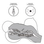 437c46a440a7c6eea7d7c46492009a2f