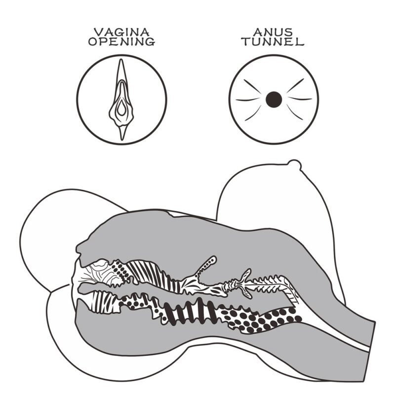 437c46a440a7c6eea7d7c46492009a2f