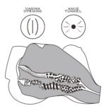 fe8fd5af2a8ffa937e1d869f74ebe305