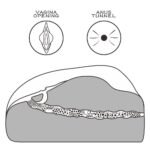 1dbda0c2e5ae451157a9b4e44a7b2e77