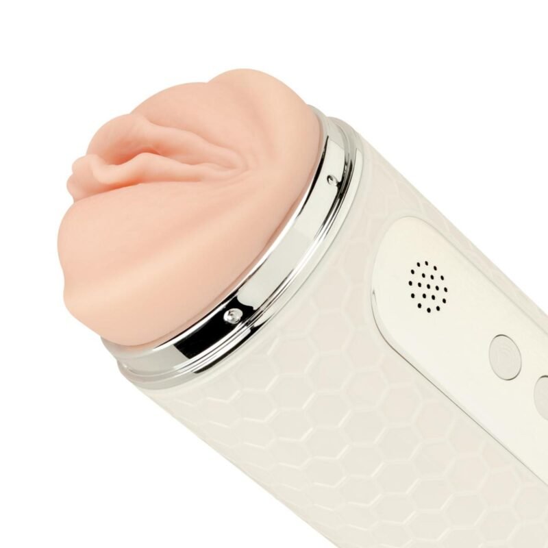 8bdade16422e4e3bd114c2db9dacbc92