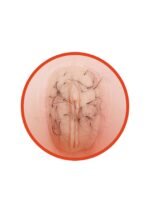 2125e66ee6d2babd36f0c7f326a9f222