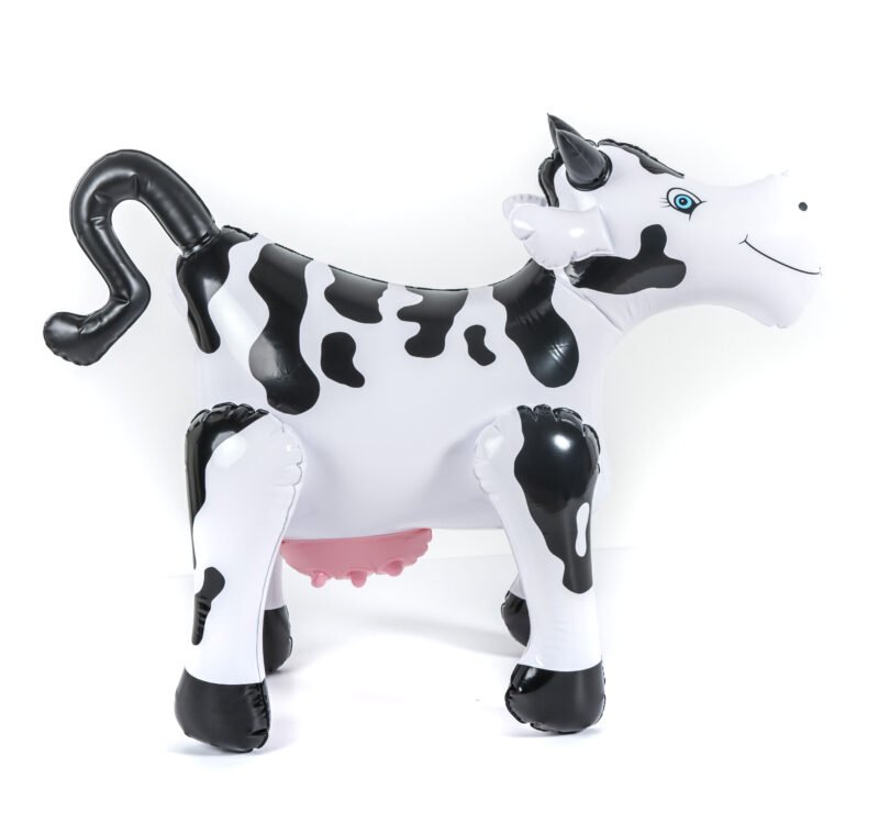 72d9a1d6c7bfb2bb0ab1dd9121098779