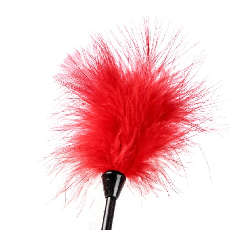 7b39f8bc2e24c510ef47a8c31339ce7e