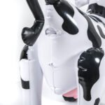 e71d2a99b907110e5ccd0739787ff2fd