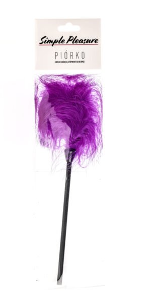 49cac792e2a508871bd9fa2ca155f0fd